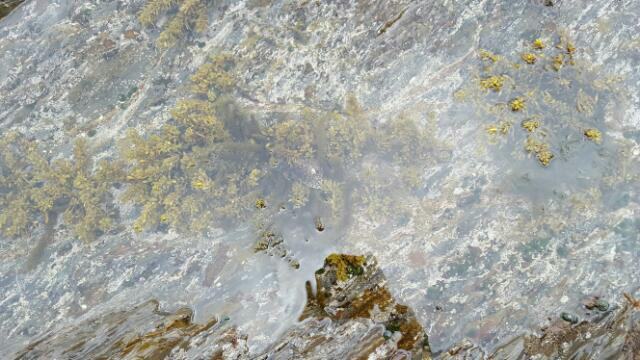 BandPhoto_2016_04_04_22_46_20.jpg : 대마도