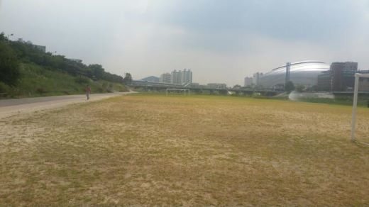 안양천 체육공원운동장(A,B구장).jpg