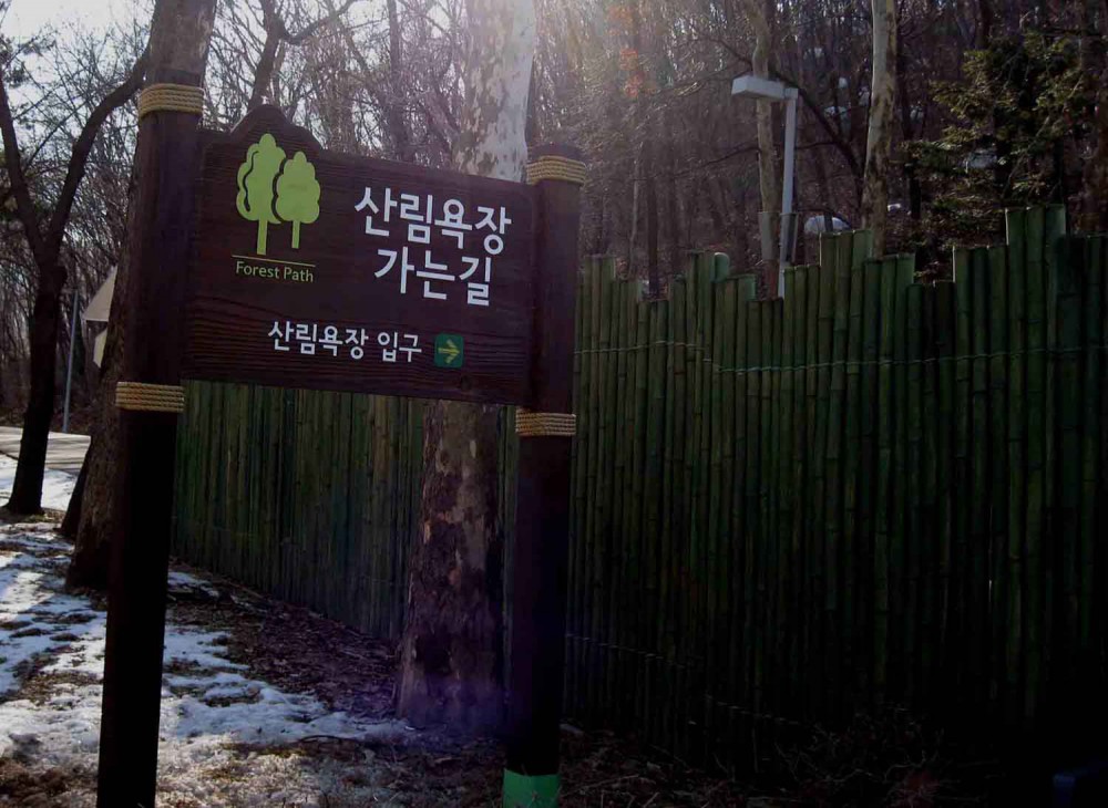 20130126-3.0a 산림욕장 입구.jpg