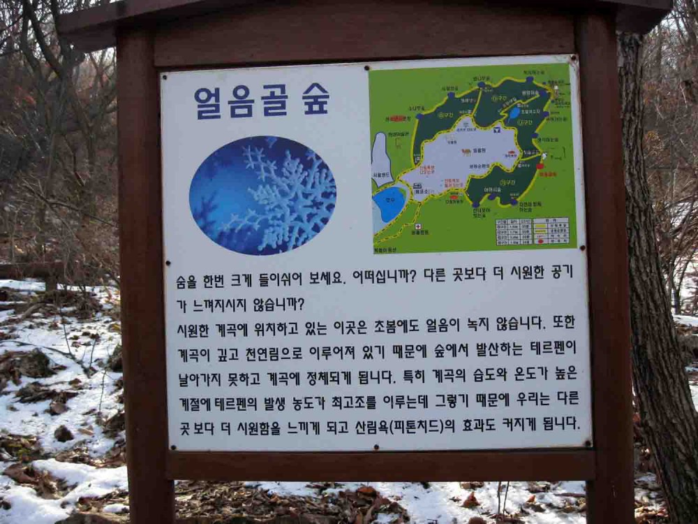 20130126-3.6a '어름골 숲'.JPG