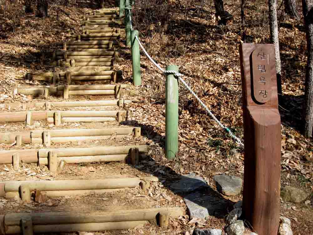 20130126-3.9c 산림욕장 출구.JPG