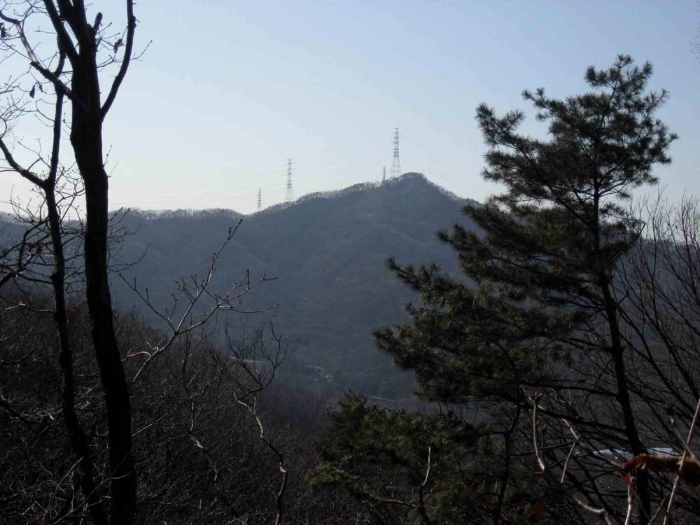 20130126-3.9b 응봉(과천매봉, 369.3m)이 보인다.JPG