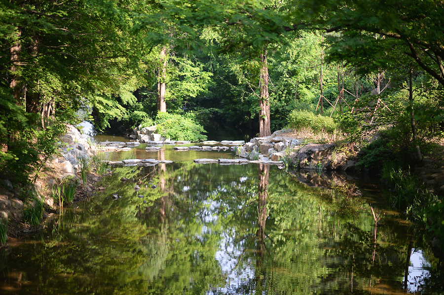 서울대공원 산림욕장-1.jpg
