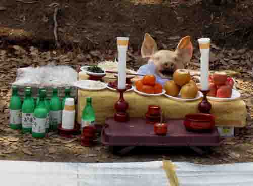 5.3 시산제 제상 차림 완료.jpg