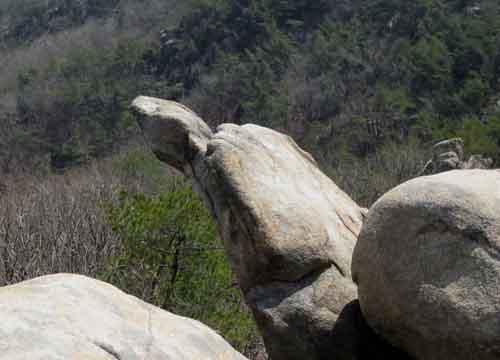 3.4 거북이바위@사당능선.jpg