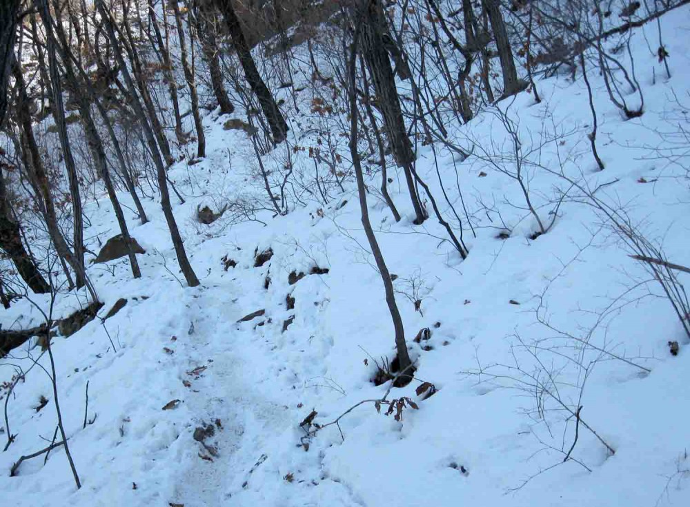 20130223-3.7 '삼성산' 정상을 앞두고 '삼막사'로 가는 좌측 옆길로 접어든다.JPG