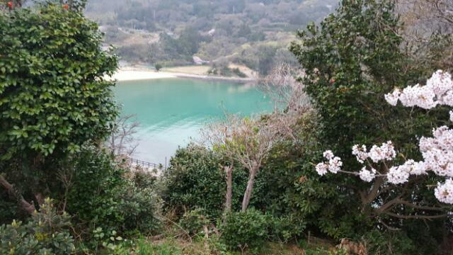 BandPhoto_2016_04_04_22_46_18.jpg : 대마도