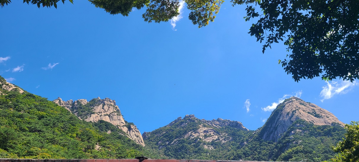 2022년 09월 24일 오후 00시 05분_3.jpg