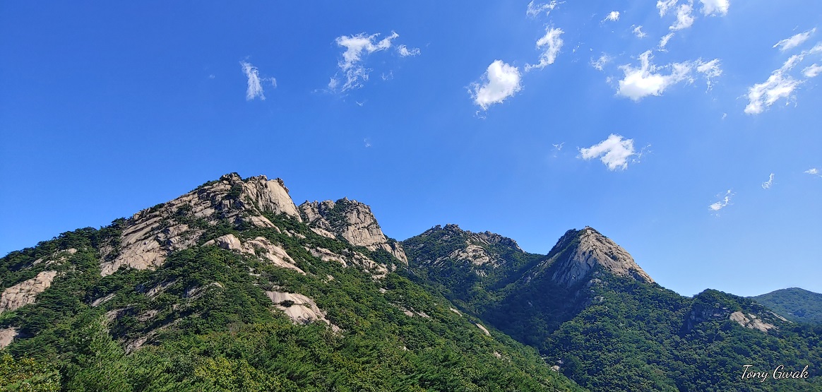 2022년 09월 24일 오후 00시 25분.jpg