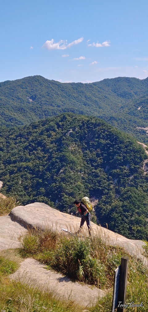 2022년 09월 24일 오후 01시 22분_2.jpg