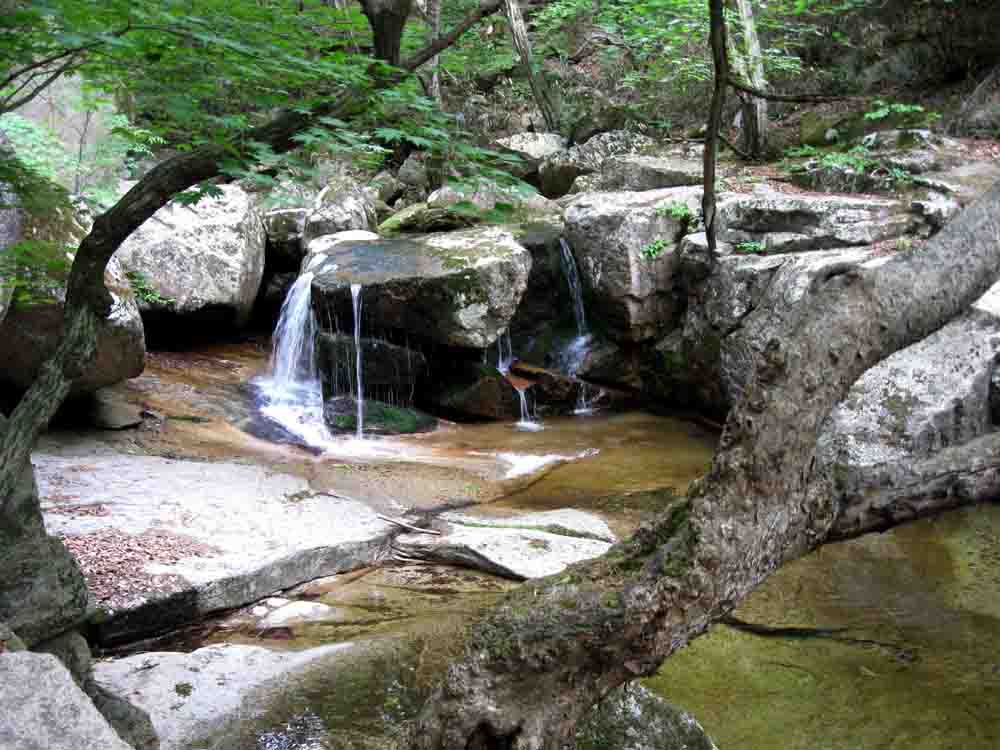 20130526-5.12a 아담한 폭포 .JPG