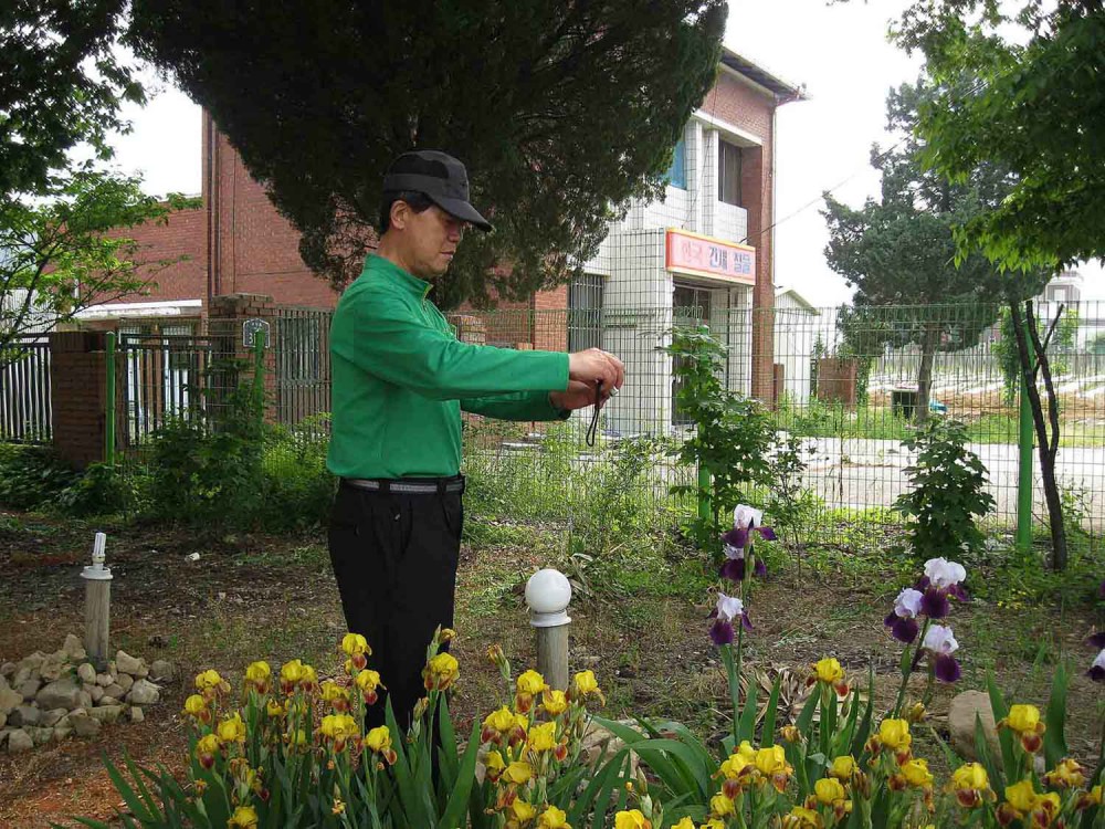 20130526-1.2d 난초 찍기 @송면휴게소 IMG_1615.jpg