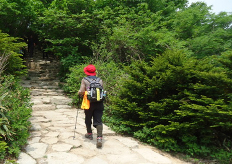 20130526-2.4c A67 문장대로 가는 길.jpg