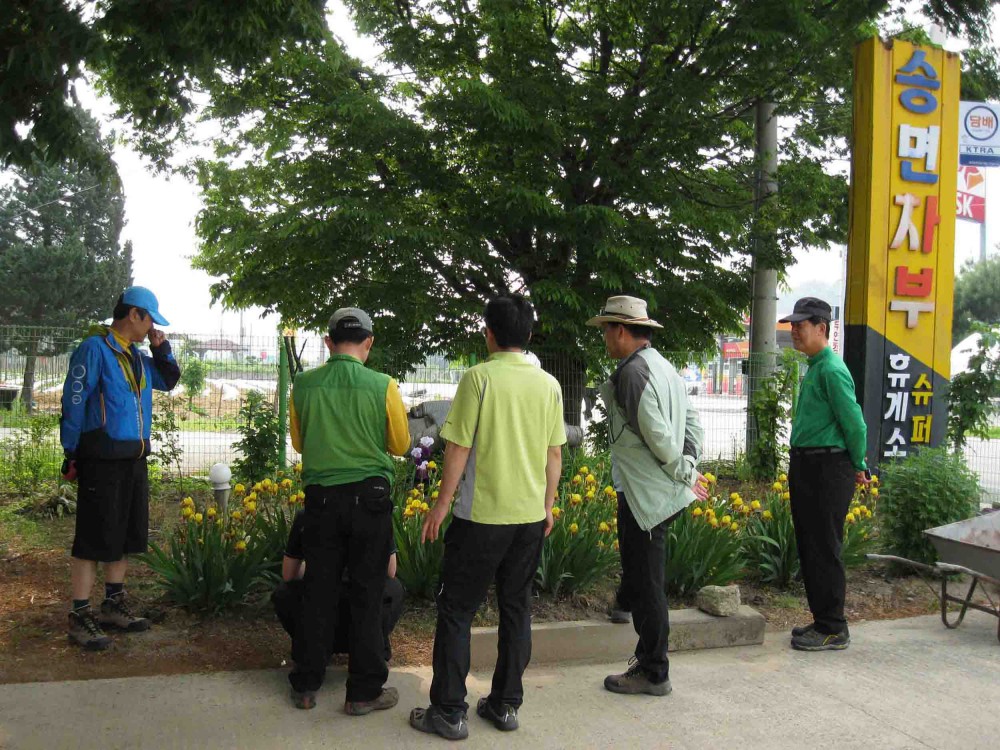 20130526-1.2c 난초 감상 @송면휴게소 IMG_1620.jpg