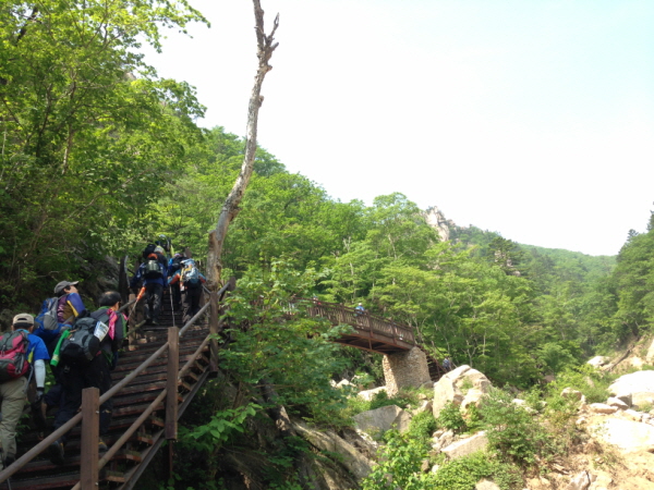 크기변환_36 050.jpg