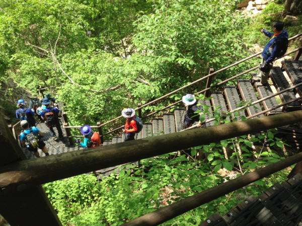 크기변환_36 065.jpg