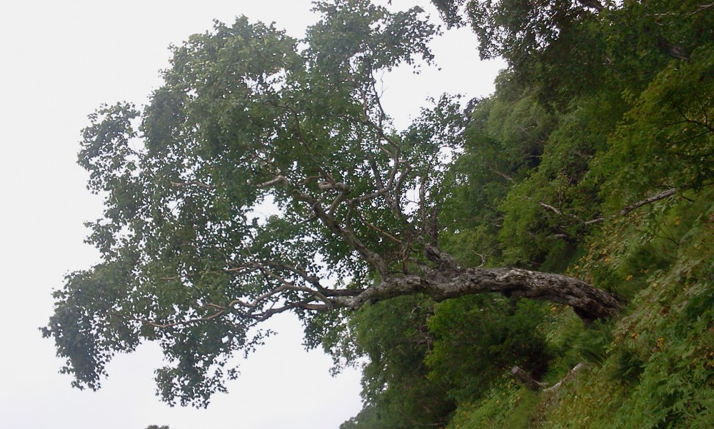 2013-08-23 12.09.11.jpg