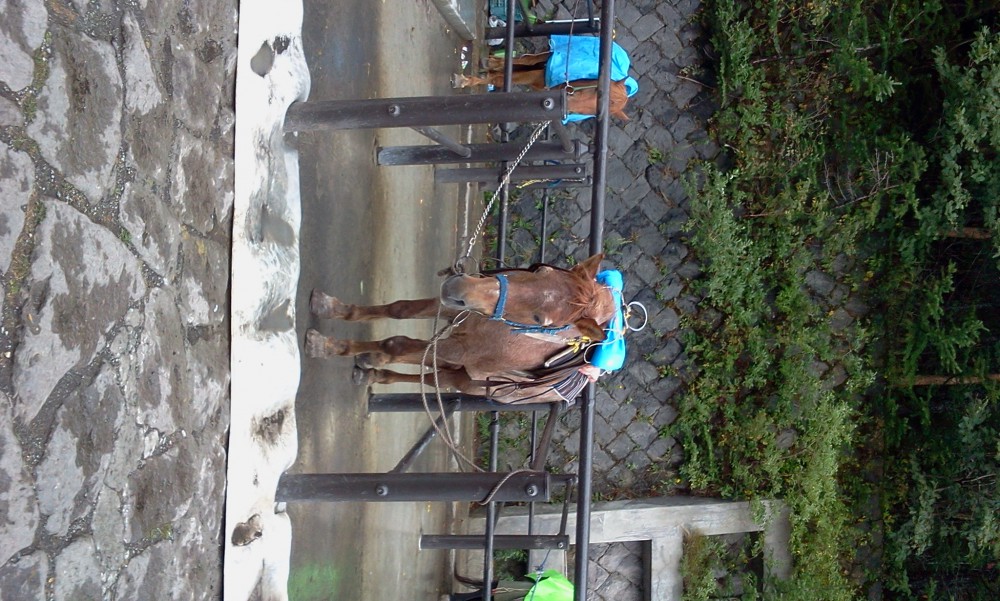 2013-08-25 10.37.40.jpg