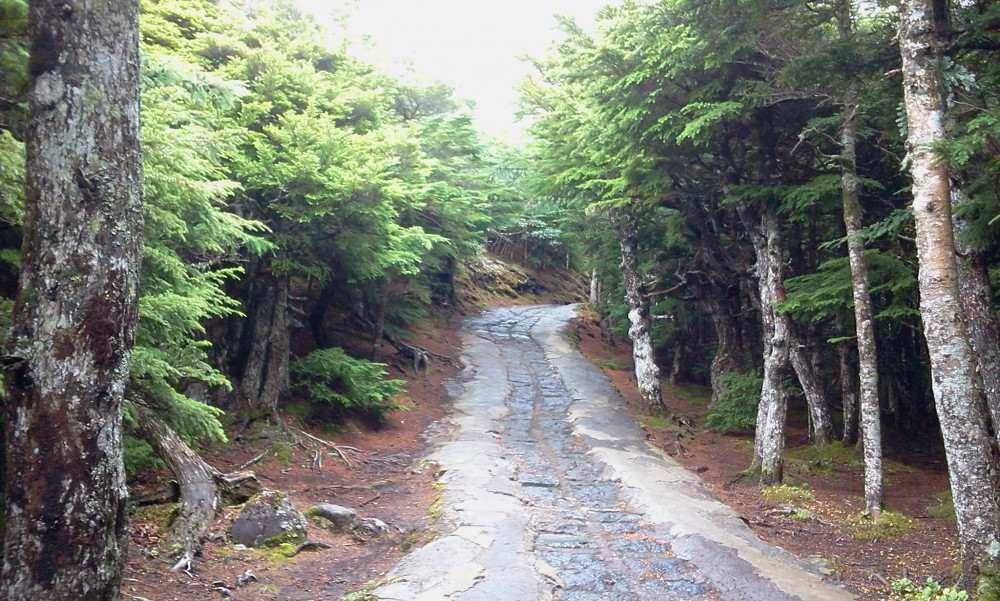 2013-08-25 13.04.39.jpg