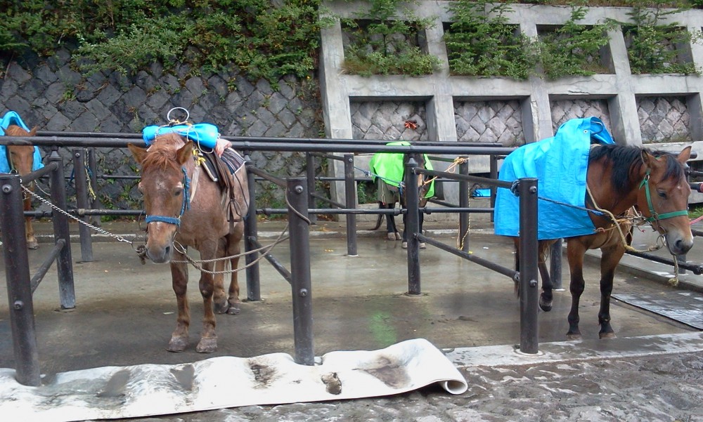 2013-08-25 10.37.47.jpg