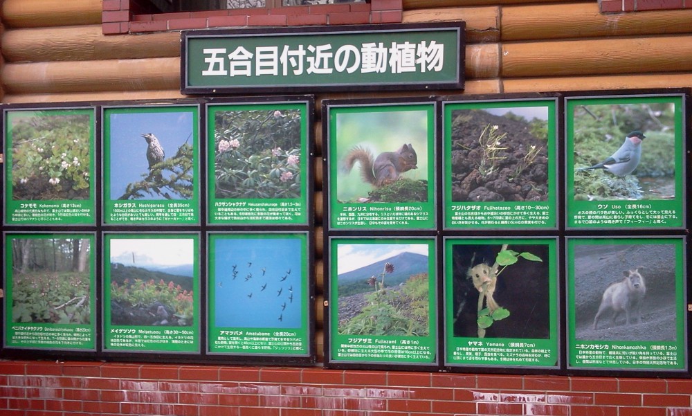 2013-08-25 07.55.57.jpg