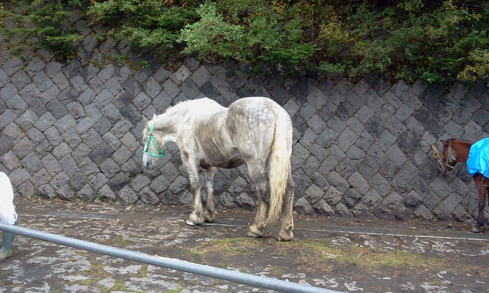 2013-08-25 10.38.15.jpg