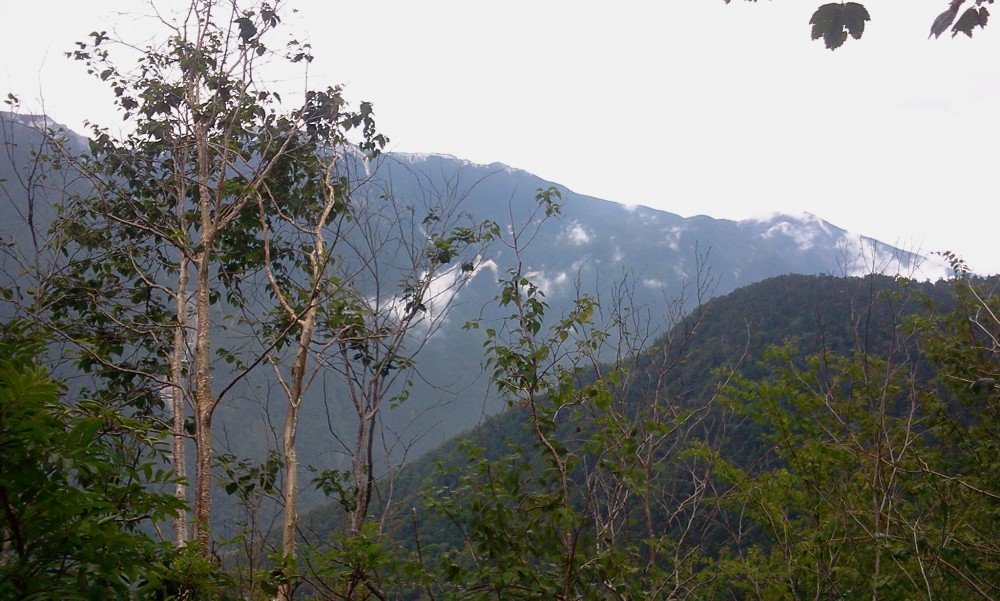 2013-08-23 11.07.08.jpg