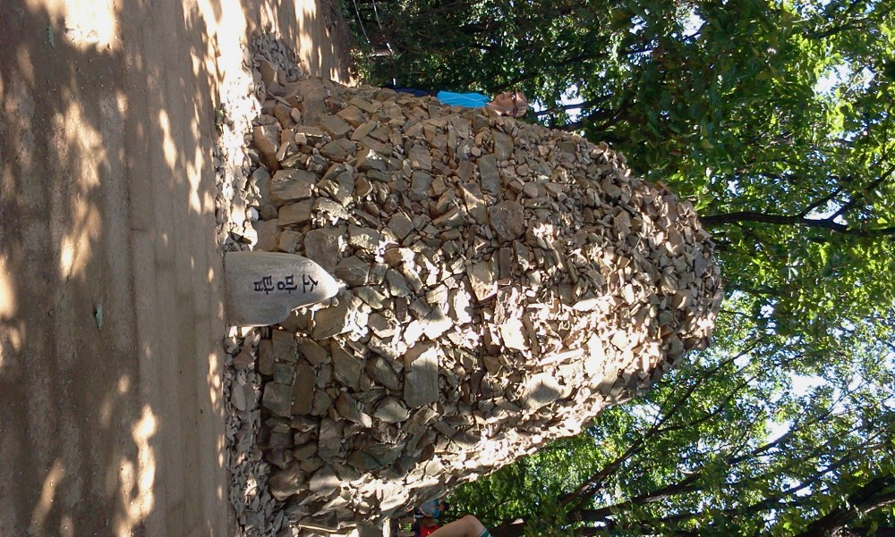 2014-08-09 12.43.07.jpg