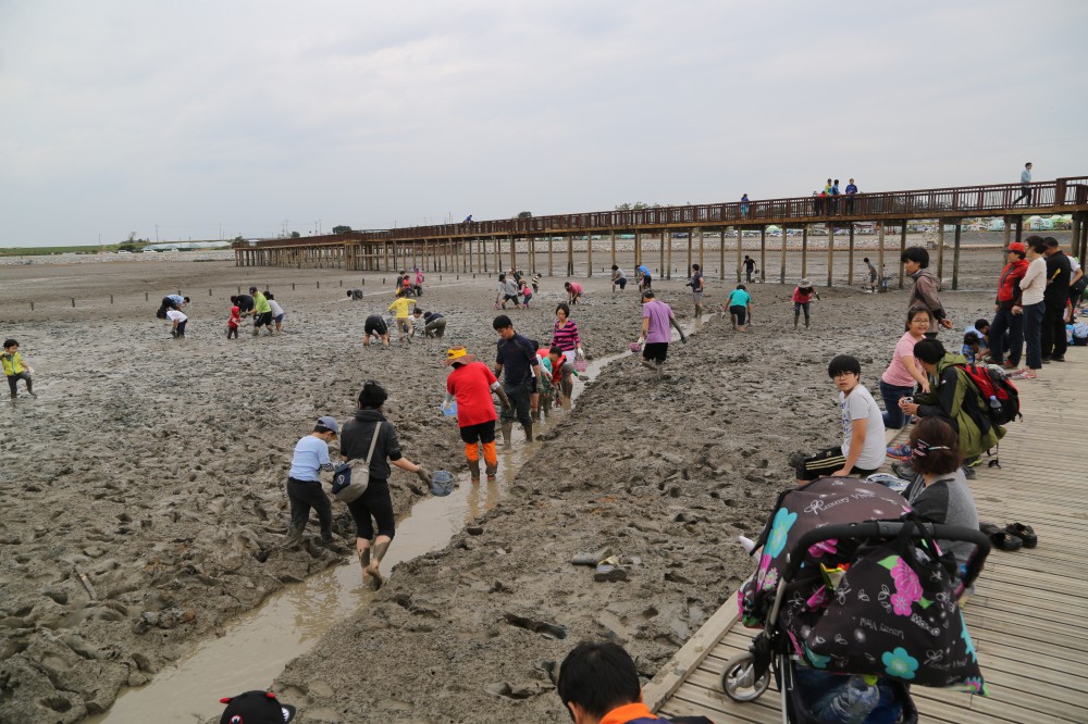 제1회무안황토 갯벌축제33.JPG