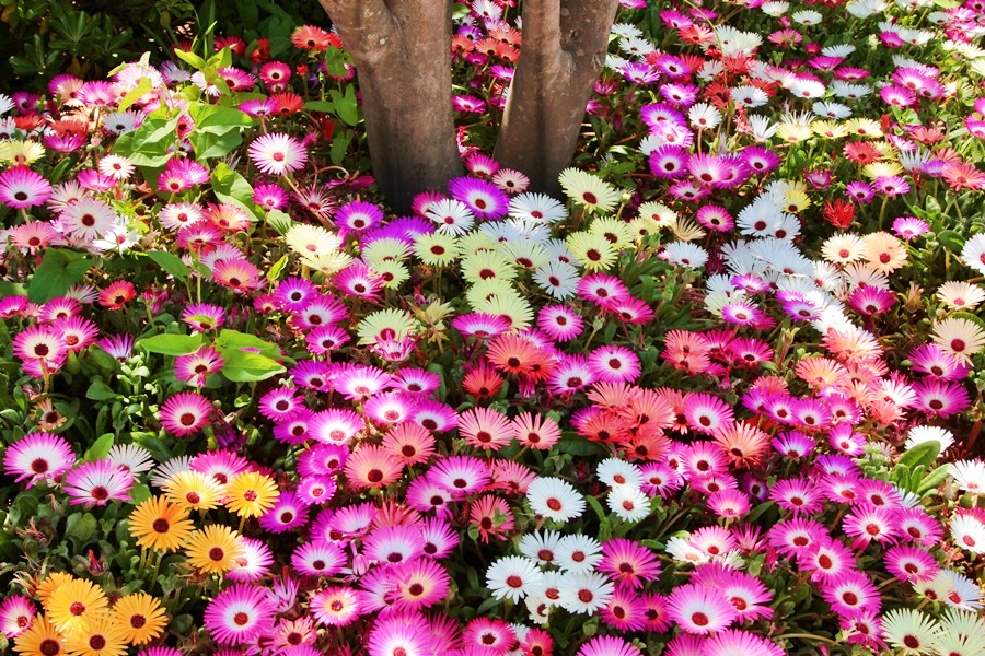 완도관광 025.JPG