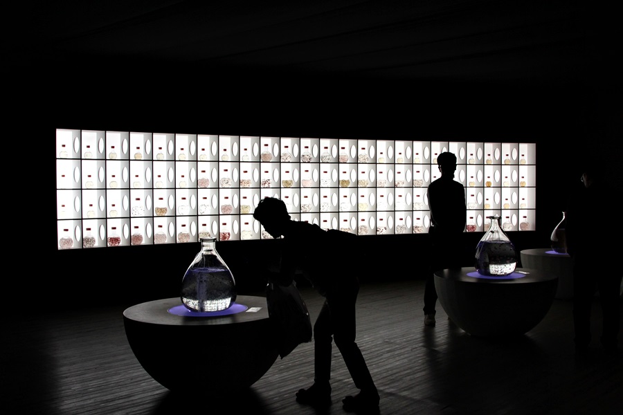 완도관광 091.JPG