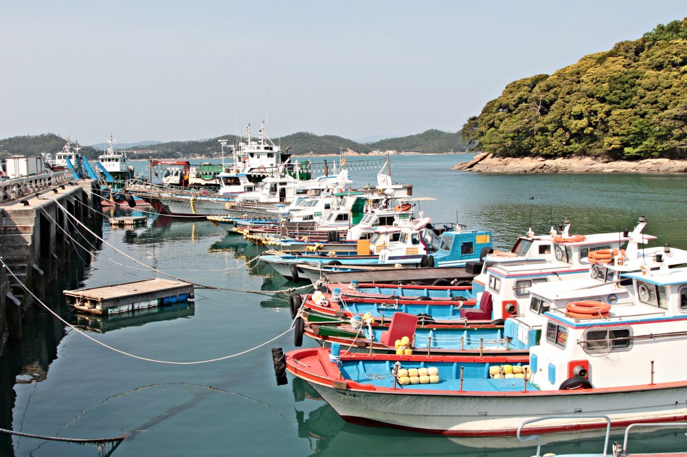 완도관광 117.JPG