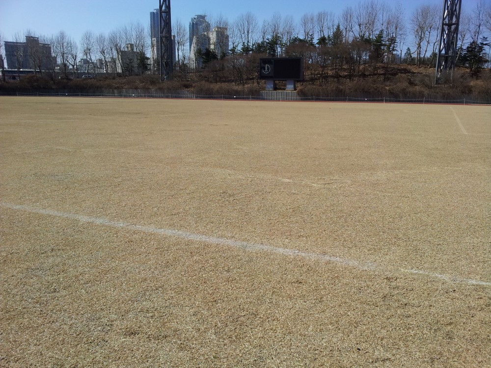 20130310_135737.jpg