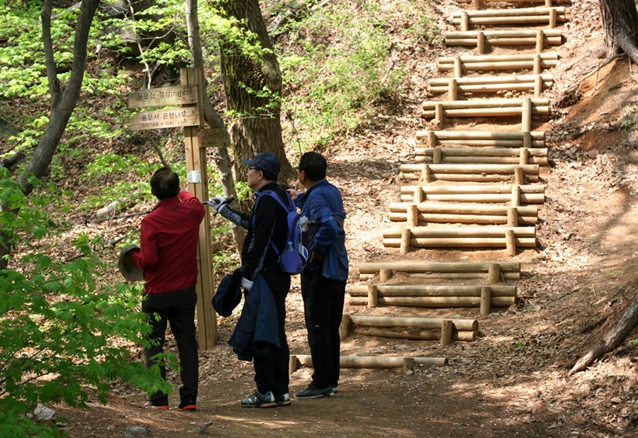 20140418-3.5g '숲속의 산책로' 용문사 갈림길.JPG