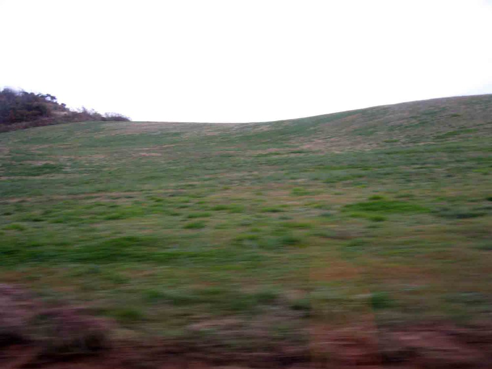 20131108-4.1 서산종축목장(옛 '삼화목장' @개심사 가는 길.jpg