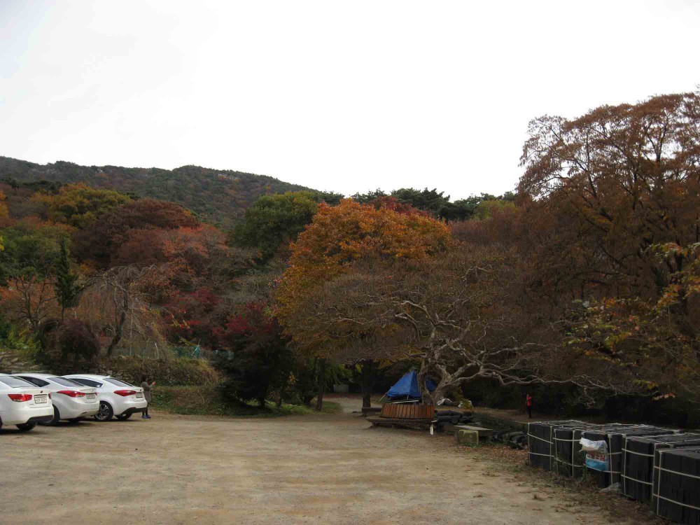 20131108-5.3i 개심사 주차장 입구에서 바라본 단풍든 숲.jpg